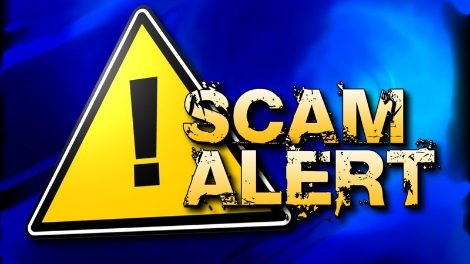 Avoiding Domain Name Scams